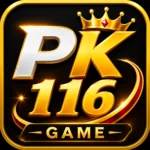 PK116 Game - logo image.